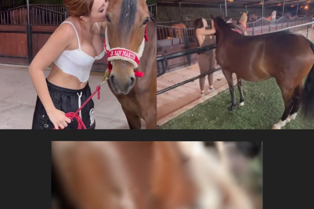 ¿Hay alguno? El video viral del caballo de Aida Victoria Merlano xxx en Twitter llena las redes sociales